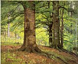 Theodore Clement Steele Beech Trees painting